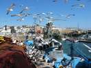 Album: Beste - Foto: 2006-05-25-1036-10.jpg