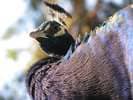 Album: Beste - Foto: 2008-09-25-1746-40.jpg