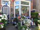 Album: Beste - Foto: 2014-07-03-1406-42.jpg