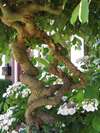 Album: Beste - Foto: 2014-07-03-1434-30.jpg